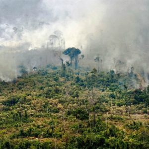 Papa Francesco: salvare la foresta amazzonica