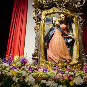 La Madonna della Salve in “peregrinatio”  tra le case e le strade deserte della città